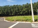 Terreno – Lote 01 - São José Rio Preto/SP