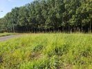 Terreno – Lote 01 - São José Rio Preto/SP
