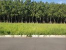 Terreno – Lote 04 - São José Rio Preto/SP