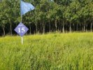 Terreno – Lote 06 - São José Rio Preto/SP