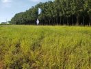 Terreno – Lote 07 - São José Rio Preto/SP