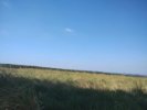 Imóvel Rural – Onda Verde/SP
