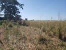 Imóvel Rural – Onda Verde/SP