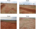 Terreno Urbano – 250,00 m² – Marília/SP