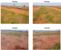 Terreno Urbano – 250,00 m² – Marília/SP