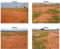 Terreno Urbano – 250,00 m² – Marília/SP