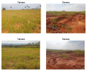 Terreno Urbano – 250,00 m² – Marília/SP