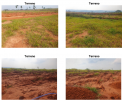 Terreno Urbano – 250,00 m² – Marília/SP