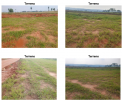Terreno Urbano – 250,00 m² – Marília/SP