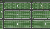 Terreno Urbano – 240,00 m² –  Marília/SP