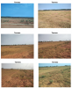 Terreno Urbano – 240,00 m² –  Marília/SP