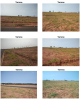 Terreno Urbano – 250,00 m² –  Marília/SP