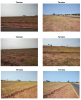 Terreno Urbano – 250,00 m² –  Marília/SP