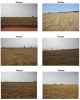 Terreno Urbano – 338,78 m² –  Marília/SP